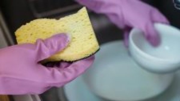 Esponja. Lavar platos.