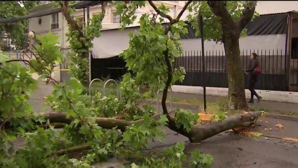 "Hay que reforzar que el cableado sea subterráneo": lluvias provocan cortes de luz en la RM
