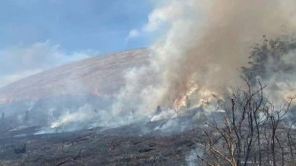 Declaran alerta roja por incendio forestal en el Parque Nacional Rapa Nui
