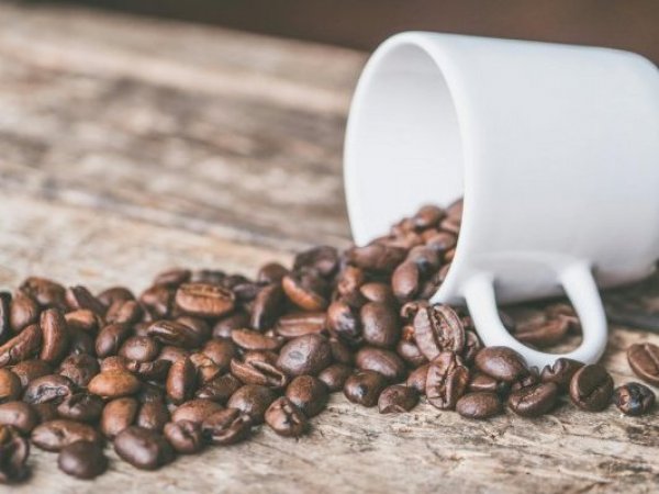 Café. Taza. Granos de café.