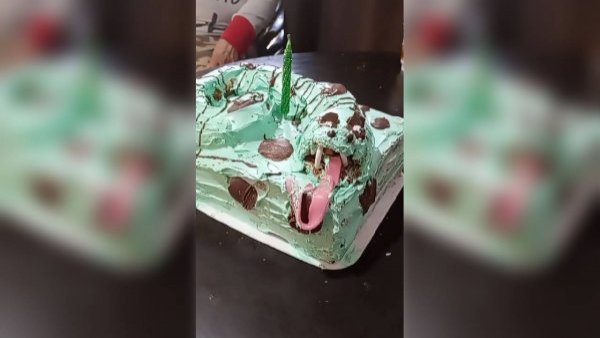 "Mi primera chamba": pidió una torta de serpiente y el resultado se volvió viral
