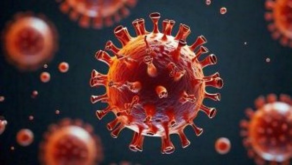 Seis personas dan positivo para VIH por trasplantes de órganos infectados en Brasil
