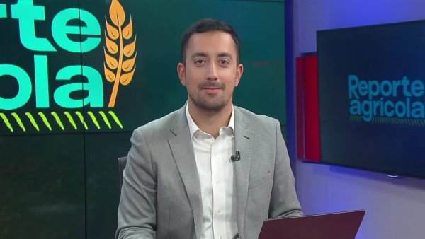 Reporte Agrícola - Capítulo 20 de octubre de 2024
