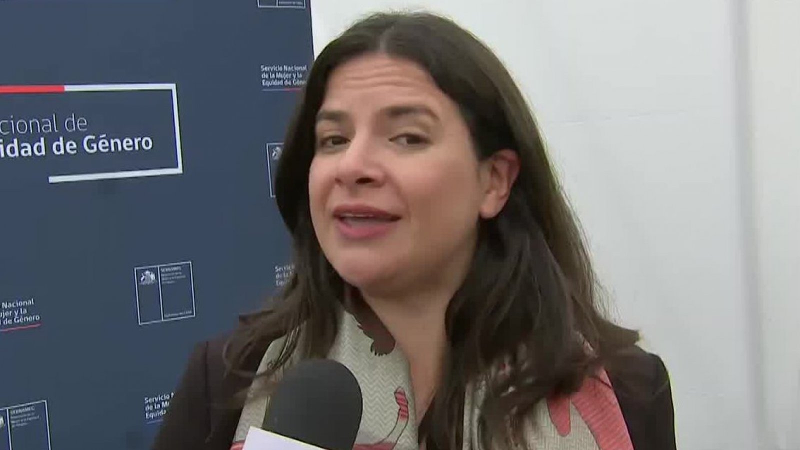 Antonia Orellana: "El exsubsecretario Monsalve no tendrá ningún privilegio"
