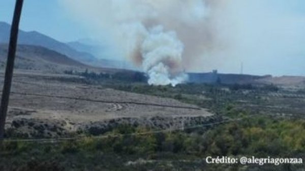 Declaran Alerta Roja por incendio forestal en Freirina
