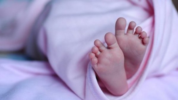 Bebé es hallado muerto en Los Ángeles: estaba en una bolsa de basura y al interior de un refrigerador
