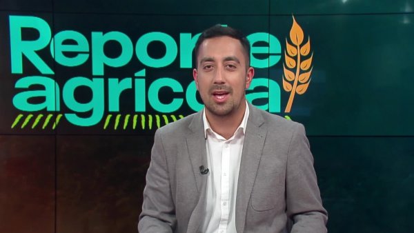 Reporte Agrícola - Capítulo 03 de noviembre de 2024