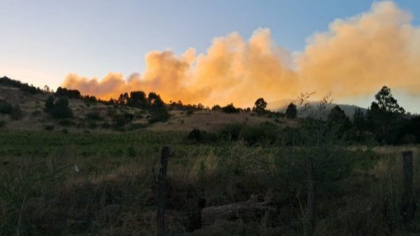 Alerta Roja: Senapred declara emergencia por incendio en cercanías de Melipilla
