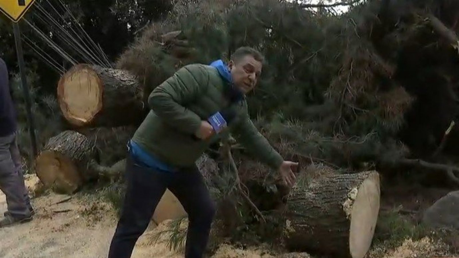 700 casas afectadas por árbol que cayó y botó seis postes en La Reina
