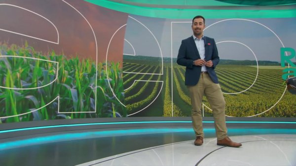 Reporte Agrícola - Capítulo 10 de noviembre de 2024