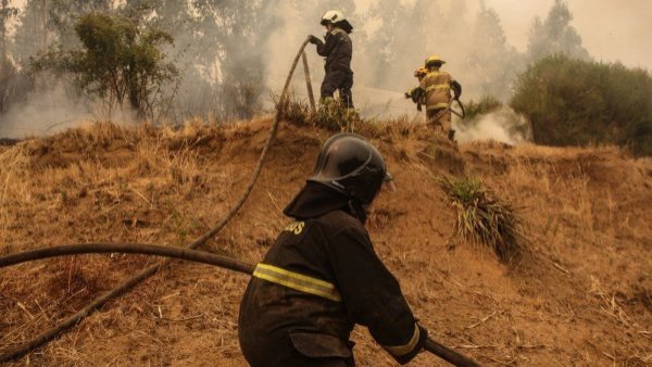 Declaran Alerta Roja para la comuna de Viña del Mar por incendio forestal
