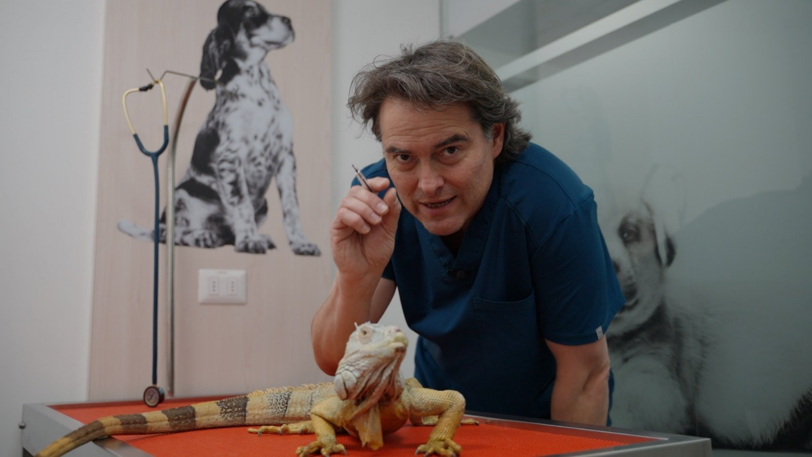 Este sábado es el gran estreno de “Acción Animal” con Sebastián Jiménez
