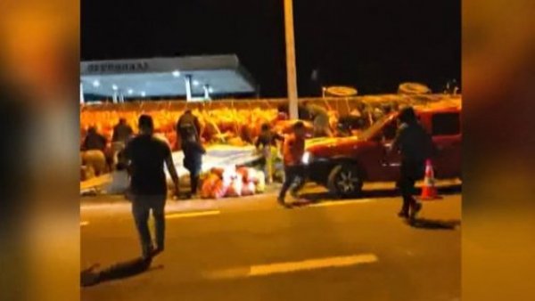 Vergüenza y decepción: Con autos de lujo se roban limones de camión accidentado en Chañaral
