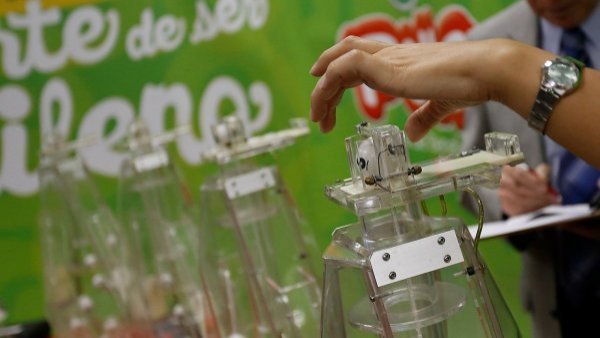 Vuelve "La Suerte en Chile": Revisa las fechas y montos de los sorteos
