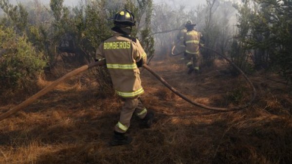 Emiten Alerta Roja por incendio forestal en Ovalle
