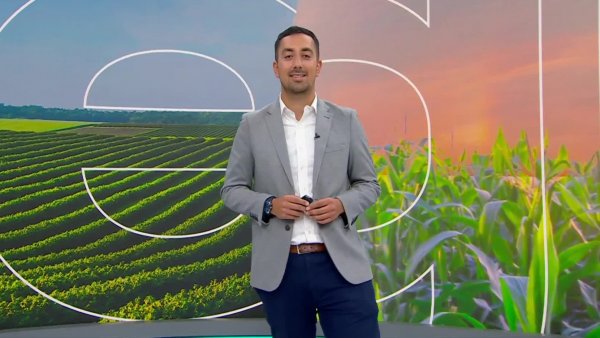 Reporte Agrícola - Capítulo 1 de diciembre de 2024
