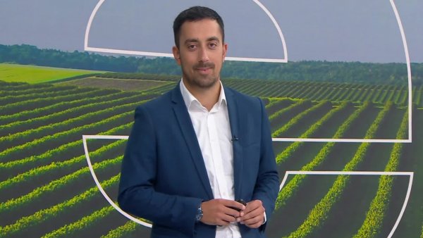 Reporte Agrícola - Capítulo 8 de diciembre de 2024