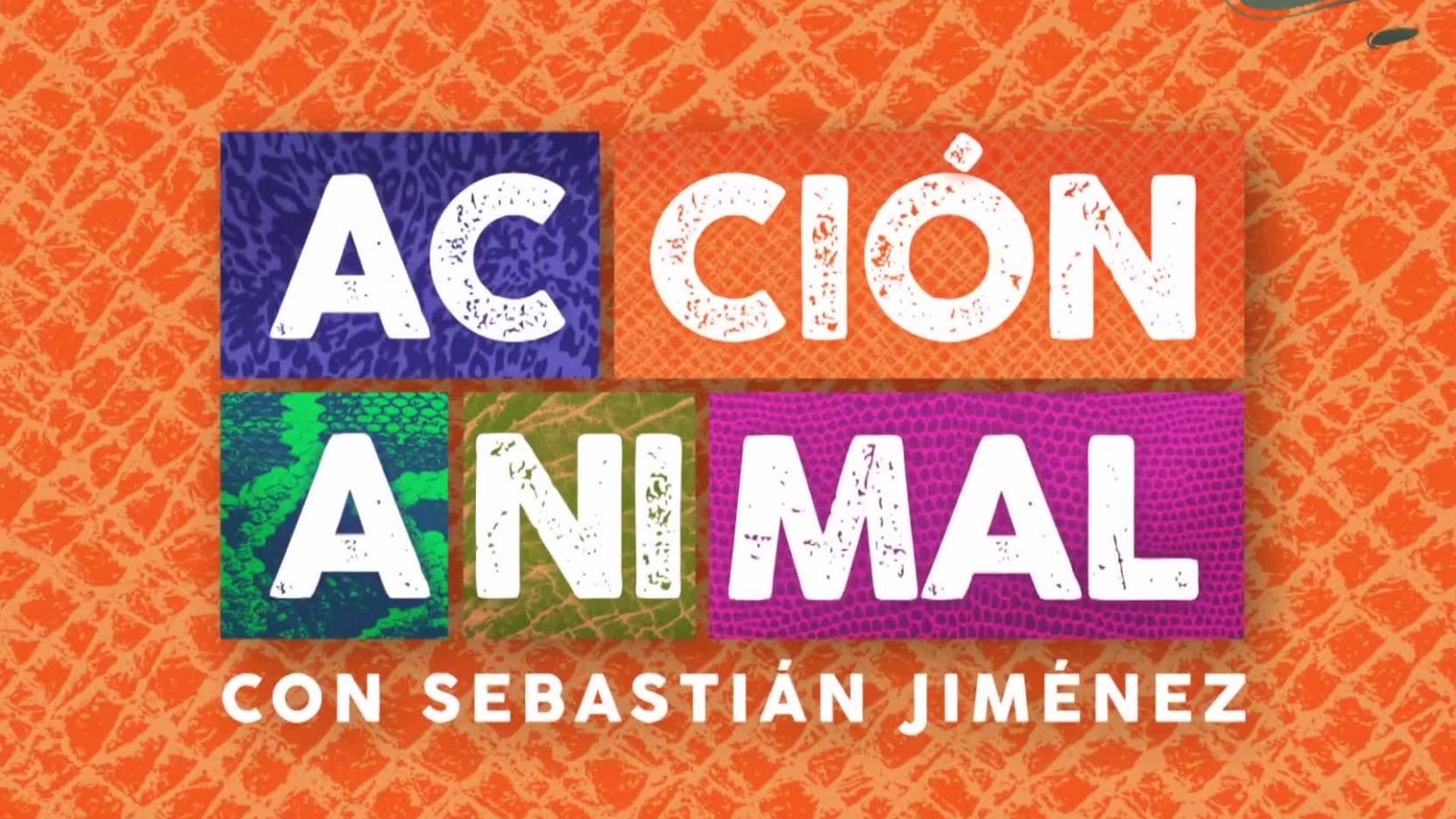 Descubre lo que hay en "Acción animal" para el próximo capítulo
