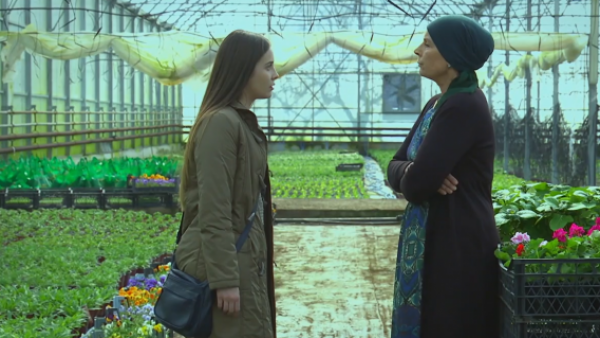 Elif - T1E136 | Buscando respuestas
