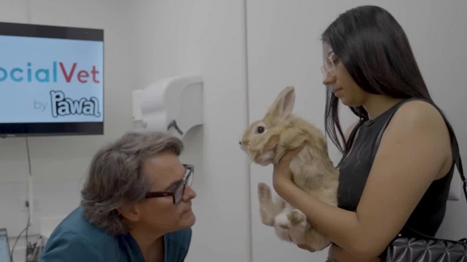 Descubre lo que veremos en "Acción animal" para el próximo capítulo
