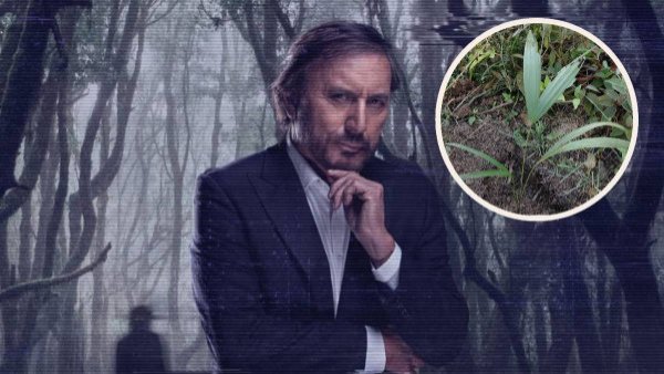 Premios PRODU obsequia a "El Día menos Pensado" un árbol en el Amazonas