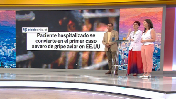 ¿Debemos preocuparnos?: Alerta por estado de emergencia por gripe aviar en Estados Unidos
