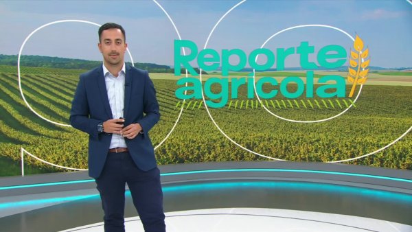 Reporte Agrícola - Capítulo 22 de diciembre de 2024