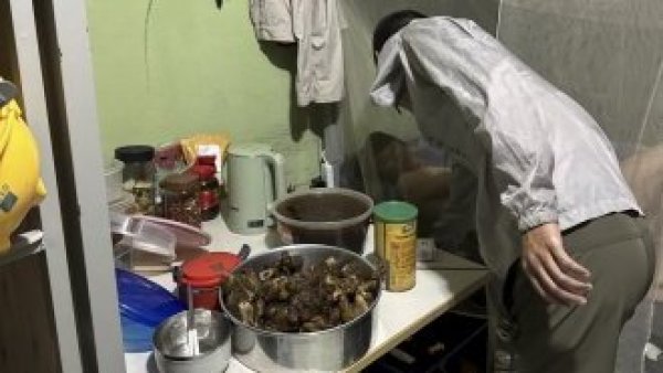 En condiciones de esclavitud: rescatan a 163 obreros chinos en Brasil
