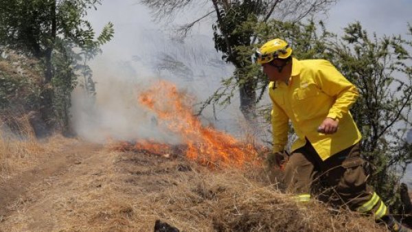 Incendio que afecta a zonas de Quilicura y Lampa obliga a declarar alerta roja
