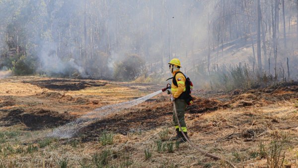 Alerta Roja por incendio forestal: más de 150 hectáreas afectadas en Colina y Tiltil
