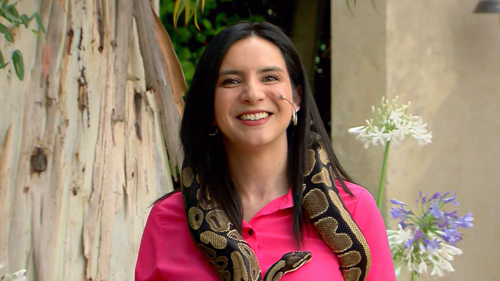 A lo Britney Spears: Vale Reyes supera su miedo al posar con serpiente en el "Buenos Días a Todos"
