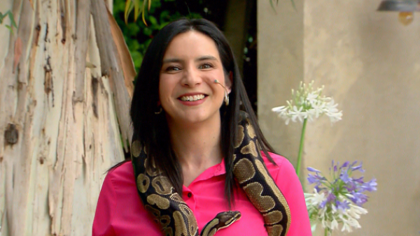 A lo Britney Spears: Vale Reyes supera su miedo al posar con serpiente en el "Buenos Días a Todos"
