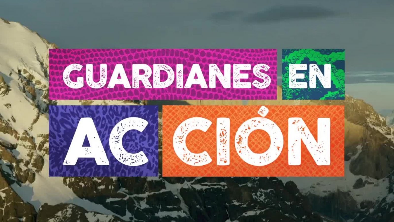 En la sección "Guardianes en acción", conocemos a René Araneda
