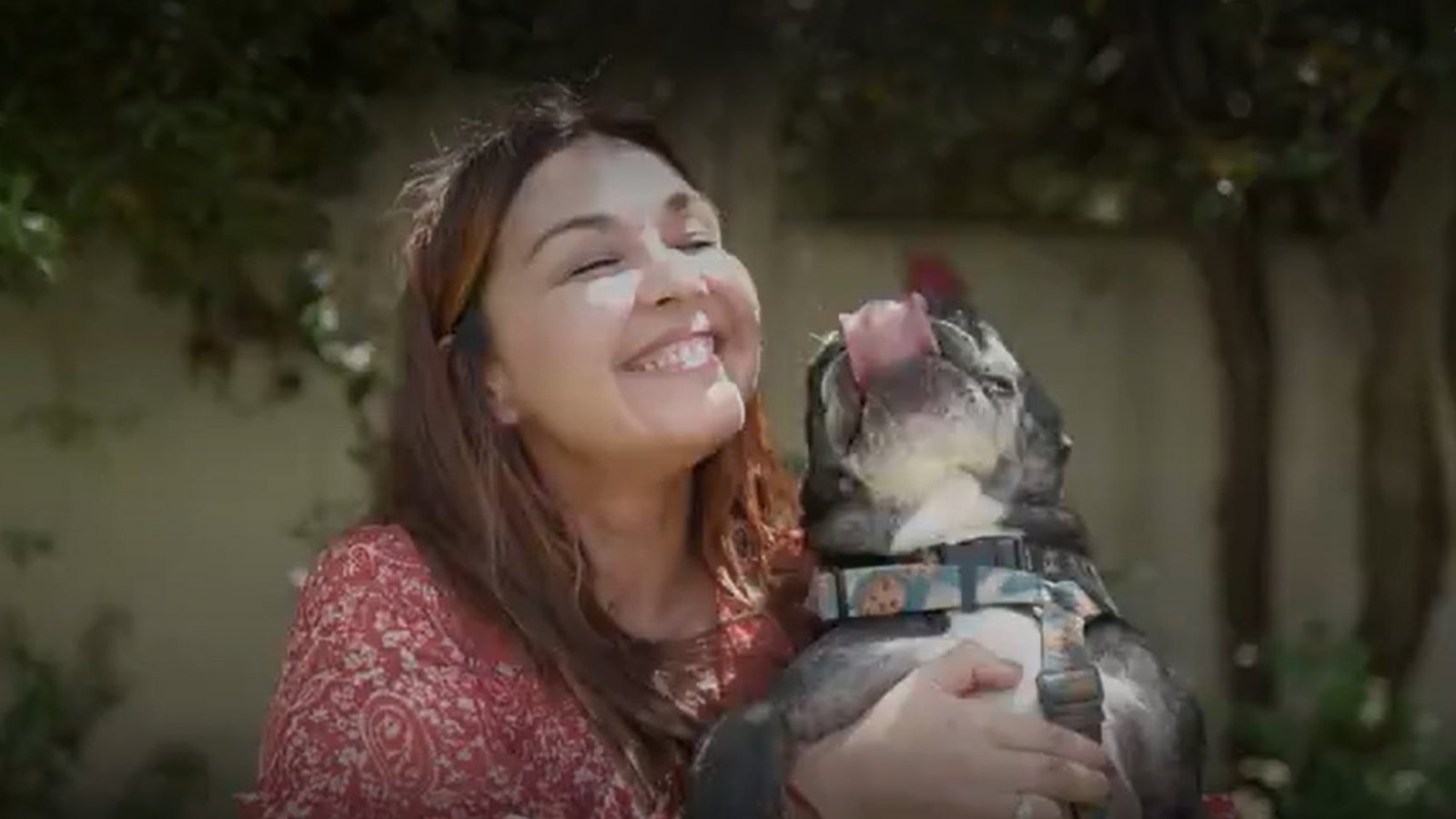 Acción Animal, con Sebastián Jiménez: Capítulo 7
