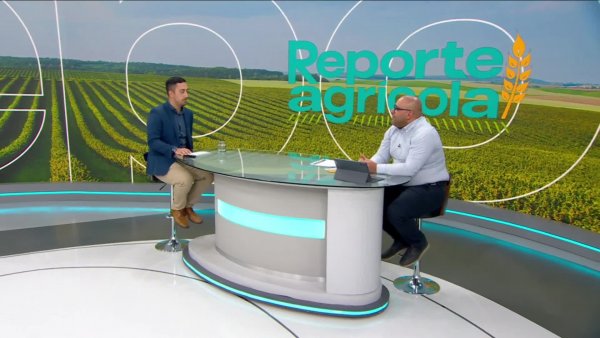 Reporte Agrícola - Capítulo 12 de enero de 2025