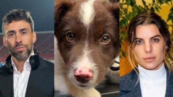 Revelan qué pasó con perrito adoptado por Jorge Valdivia y Maite Orsini
