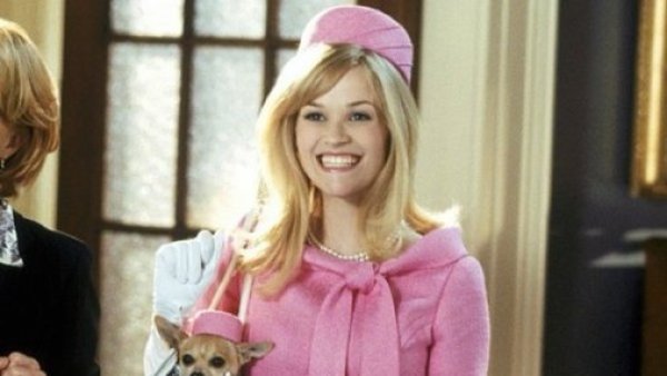 ¡Está en Chile! Fotografía de protagonista de "Legalmente Rubia" se hace viral
