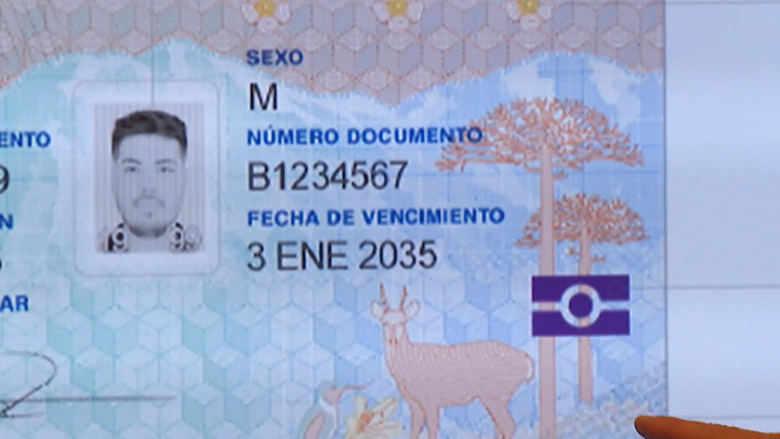 Gravísima denuncia en la renovación de carnet: "En el Registro Civil me dijeron 'no existes'"
