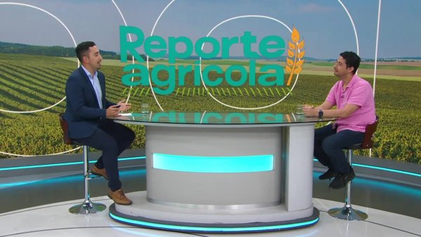 Reporte Agrícola - Capítulo 26 de enero de 2025