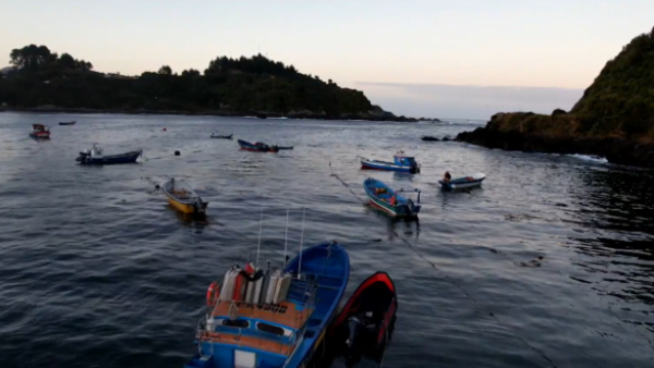 Una cadena de negligencias: ¿Qué pasó en la tragedia y naufragio de Bahía Mansa?
