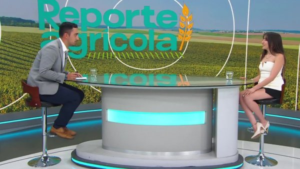 Reporte Agrícola - Capítulo 2 de febrero de 2025
