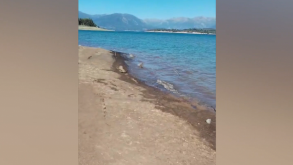 Tras nuevo video viral: Carabineros reitera que no se puede prohibir el acceso a playas, ríos y lagos
