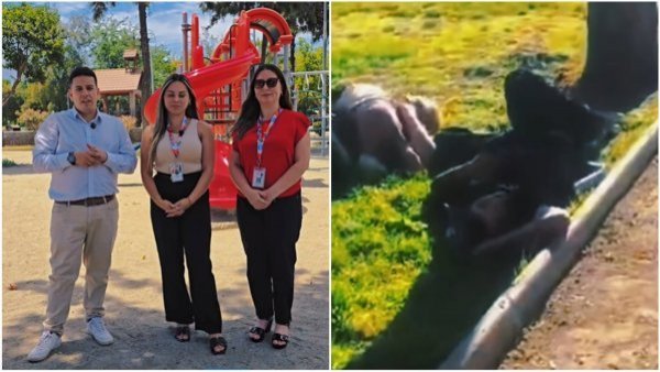Alcalde de Puente Alto actualiza estado de la bebé que fue grabada junto a sus padres ebrios en una plaza
