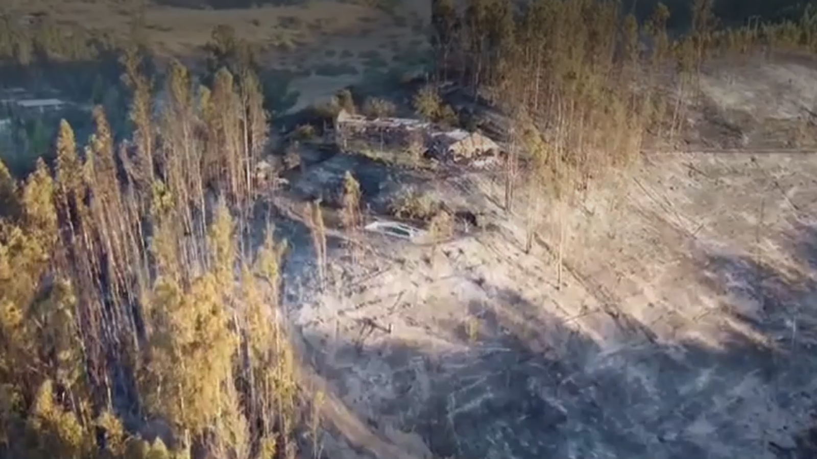 Adulta mayor murió en medio de incendios forestales: se devolvió a buscar su celular
