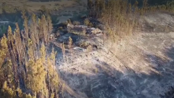 Adulta mayor murió en medio de incendios forestales: se devolvió a buscar su celular
