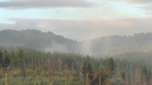 Alerta en el sur del país: La Araucanía afectada por múltiples incendios
