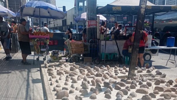 Pese a medida municipal: ambulantes siguen instalándose en Estación Central

