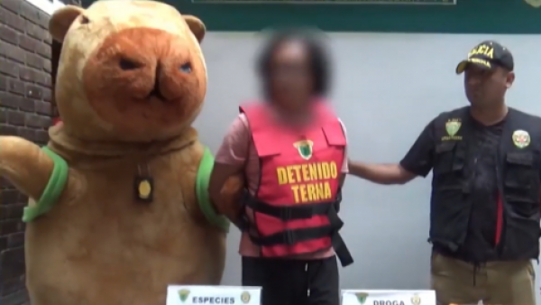 Perú sorprende con capibara policía: Detuvo a traficante de drogas
