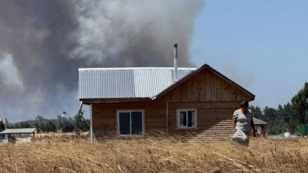 Decretan Alerta Roja para Chillán por incendio forestal que amenaza viviendas
