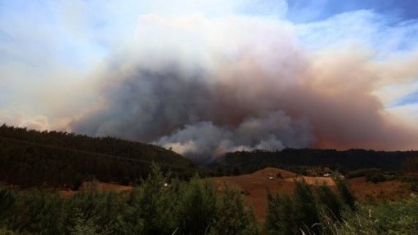 Gigantesco incendio de la Patagonia argentina alcanzó suelo chileno
